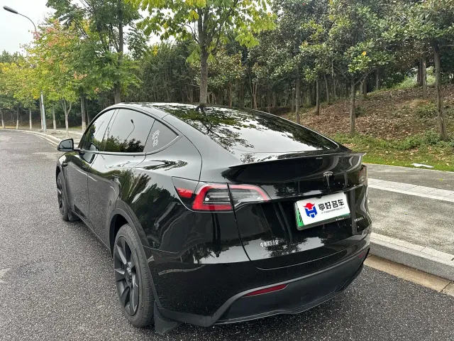 Tesla Model Y — Фото автомобиля 13