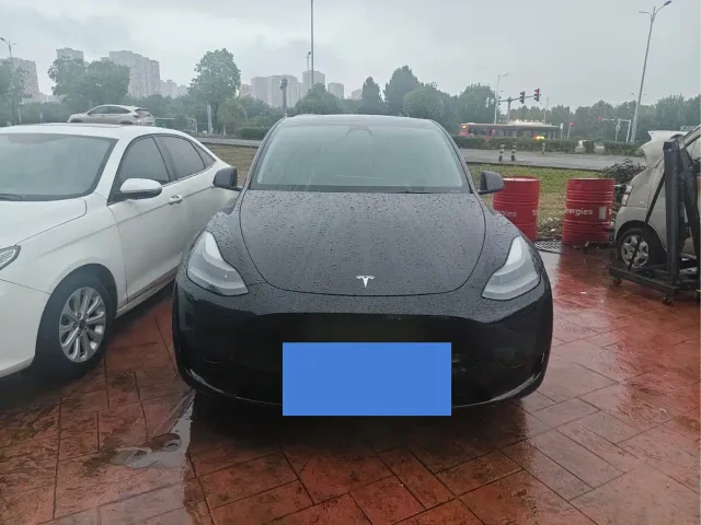 Tesla Model Y — Фото автомобиля 2