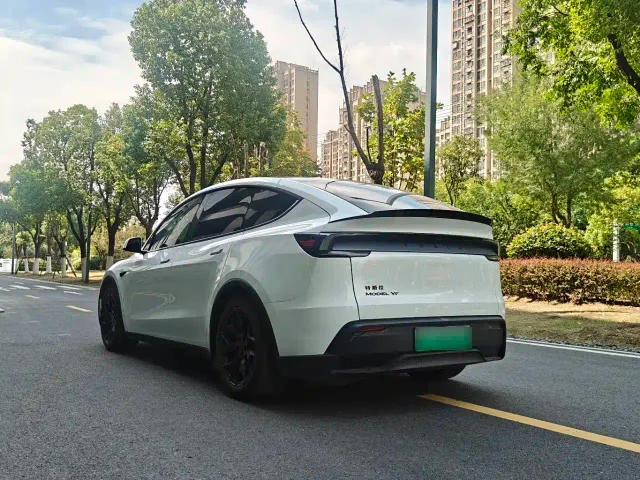 Tesla Model Y L — Фото автомобиля 8