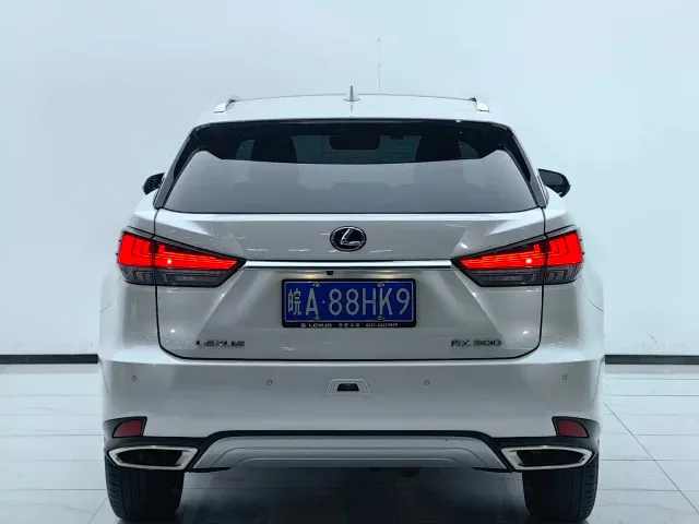Lexus RX — Фото автомобиля 18