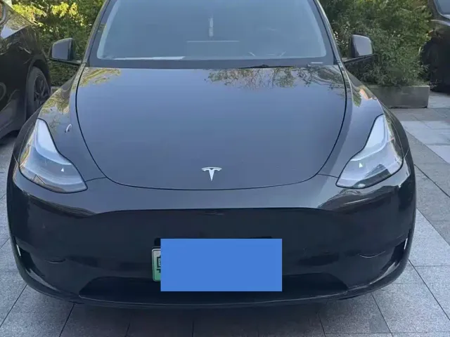 Tesla Model Y — Фото автомобиля 2