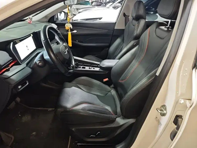 Geely Binrui — Фото автомобиля 14