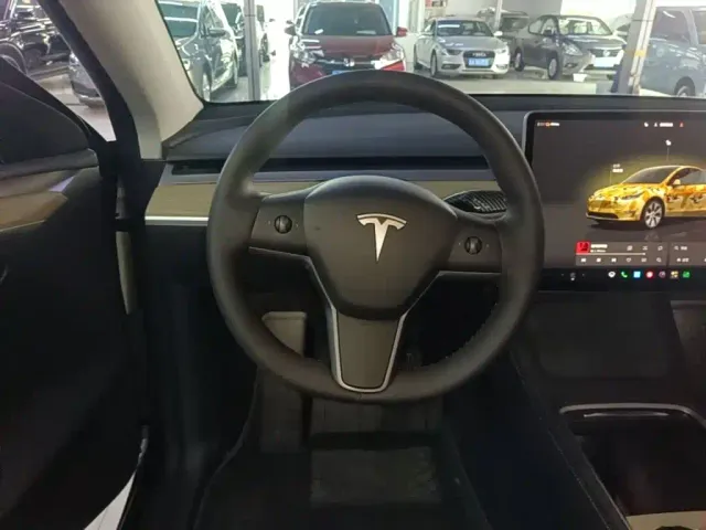 Tesla Model Y — Фото автомобиля 10