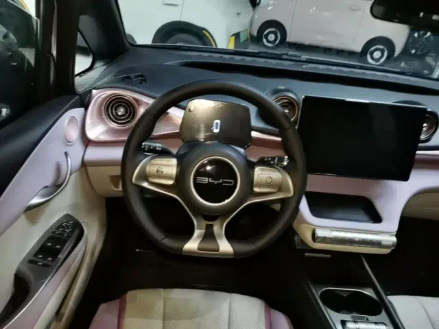 BYD Dolphin — Фото автомобиля 10