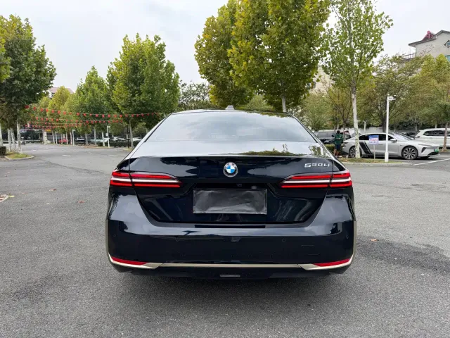 BMW 5 Series — Фото автомобиля 5