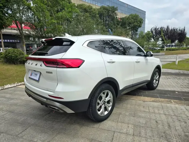 Haval Haval H6 2021 Model National Trend Edition 1.5T Auto Champion — Фото автомобиля 10