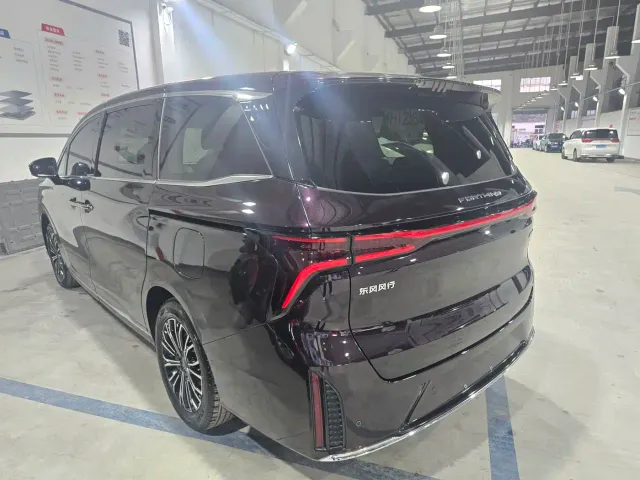 Forthing Xinghai V9 — Фото автомобиля 5