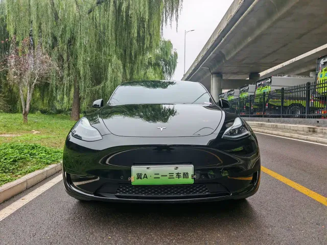 Tesla Model Y — Фото автомобиля 2