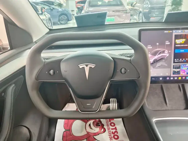 Tesla Model Y — Фото автомобиля 7