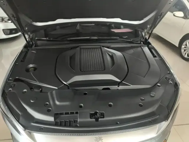 BYD Qin PLUS — Фото автомобиля 19