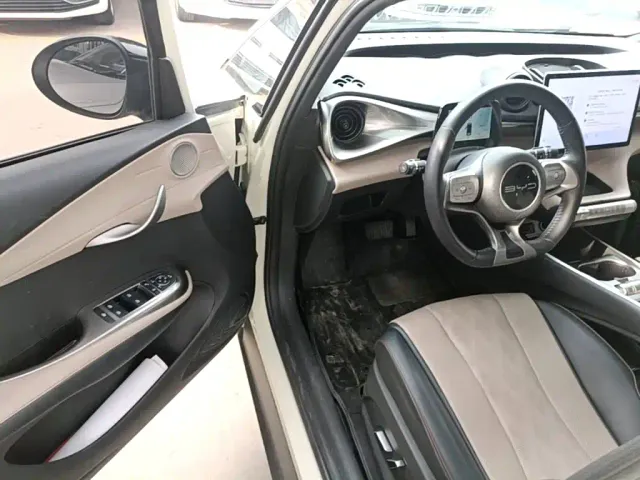 BYD Dolphin — Фото автомобиля 15