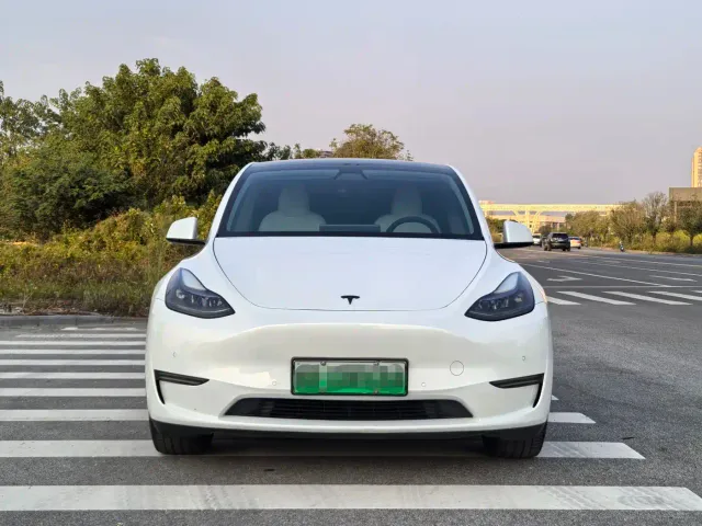 Tesla Model Y — Фото автомобиля 2