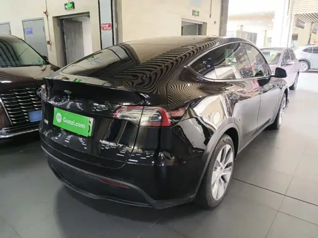 Tesla Model Y — Фото автомобиля 6