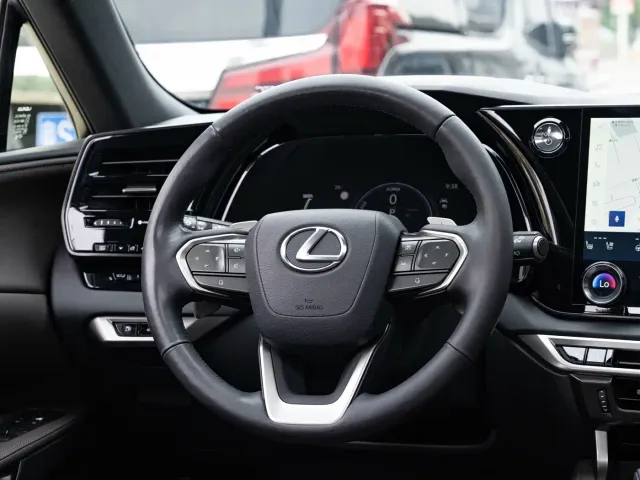 Lexus RX — Фото автомобиля 14