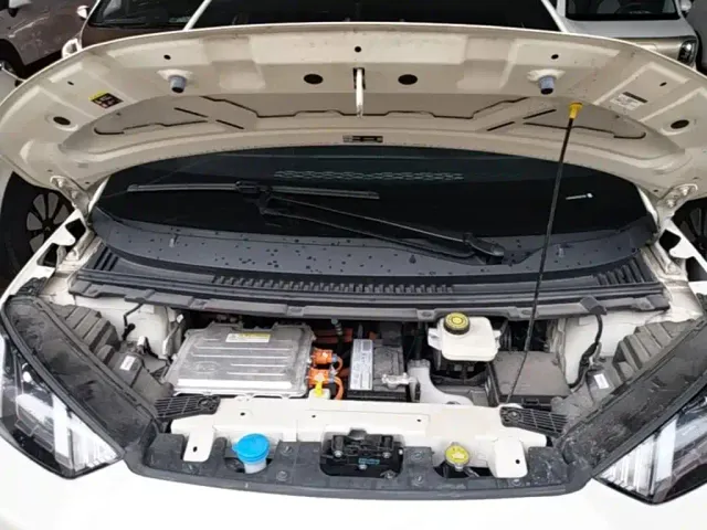 BYD Seagull — Фото автомобиля 19