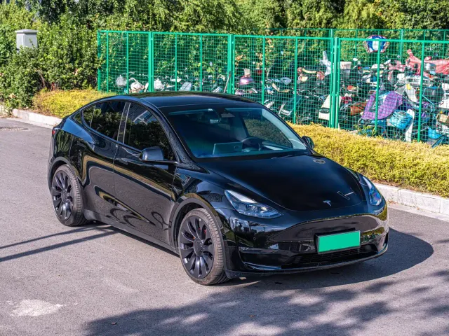 Tesla Model Y — Фото автомобиля 3