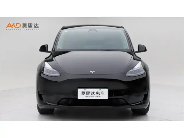 Tesla Model Y — Фото автомобиля 2