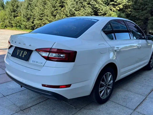 Skoda Octavia — Фото автомобиля 4
