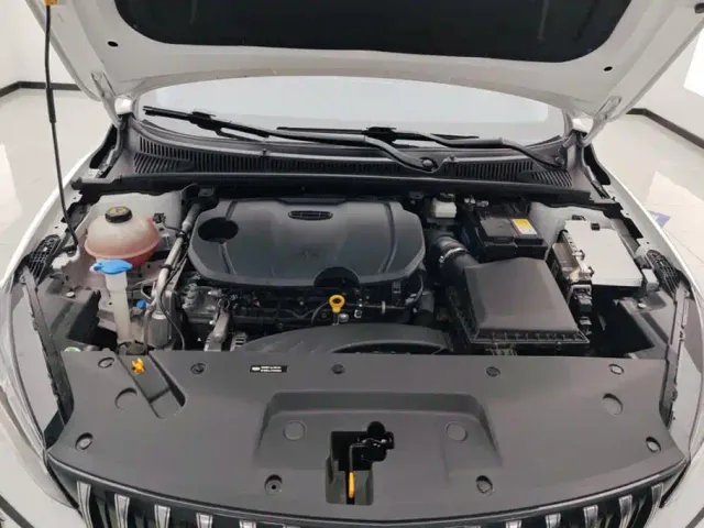 Geely Binrui — Фото автомобиля 10
