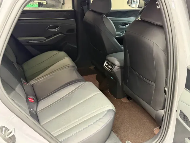 BYD Qin L — Фото автомобиля 18
