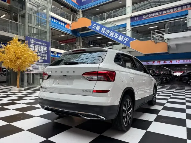 Skoda Kamiq — Фото автомобиля 19