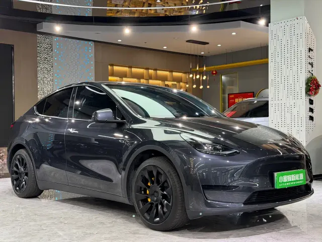 Tesla Model Y — Фото автомобиля 3