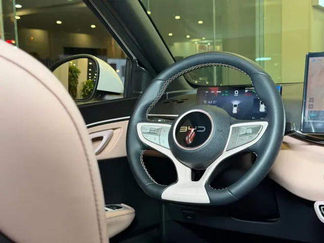 BYD Seagull — Фото автомобиля 15