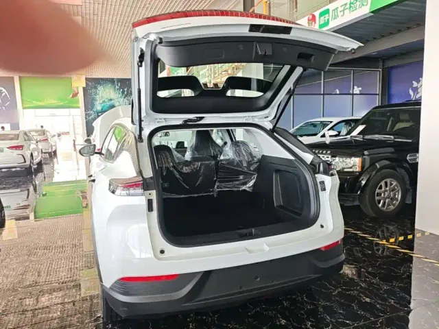 Dongfeng SKY EV01 — Фото автомобиля 14