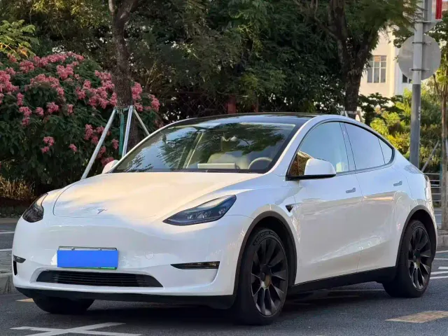 Tesla Model Y — Фото автомобиля 2