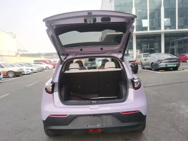 Geely Starry Wish — Фото автомобиля 18