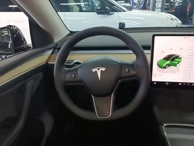Tesla Model Y — Фото автомобиля 10