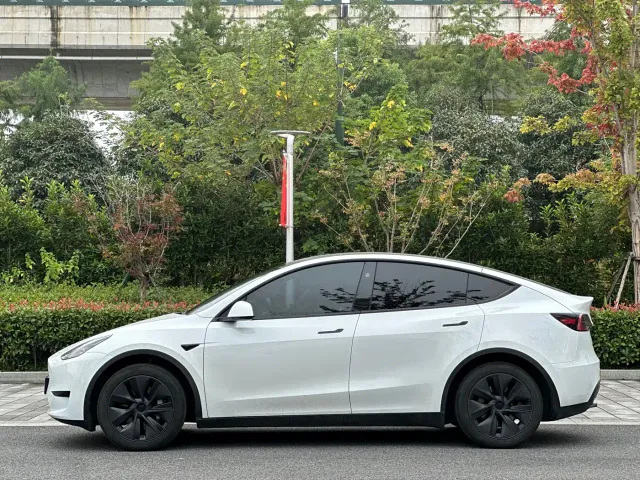 Tesla Model Y — Фото автомобиля 7