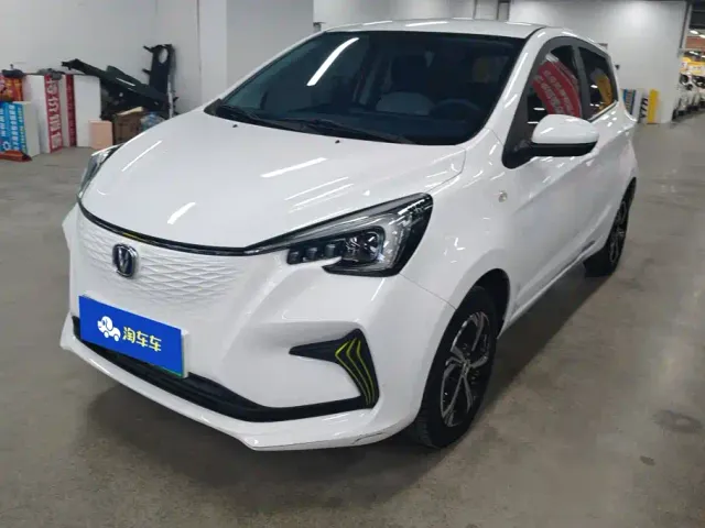 Фотография автомобиля — Changan Benben E-Star