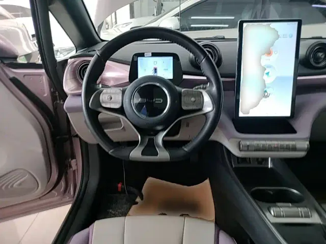 BYD Dolphin — Фото автомобиля 10