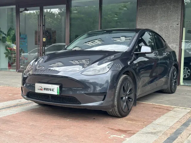 Tesla Model Y — Фото автомобиля 3