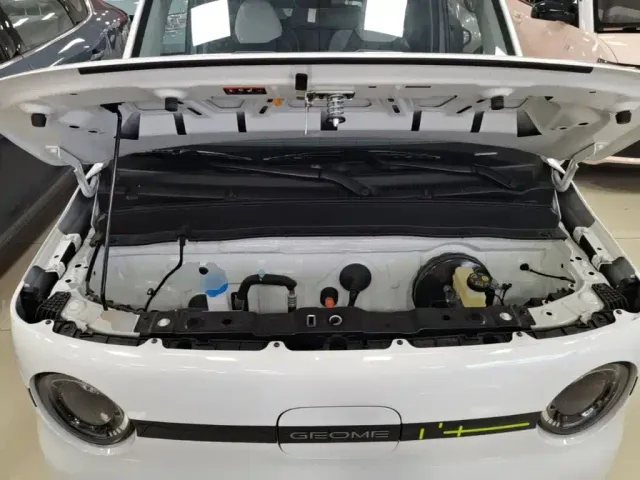 Geely Panda — Фото автомобиля 19