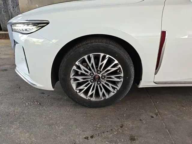 Hongqi H5 — Фото автомобиля 22