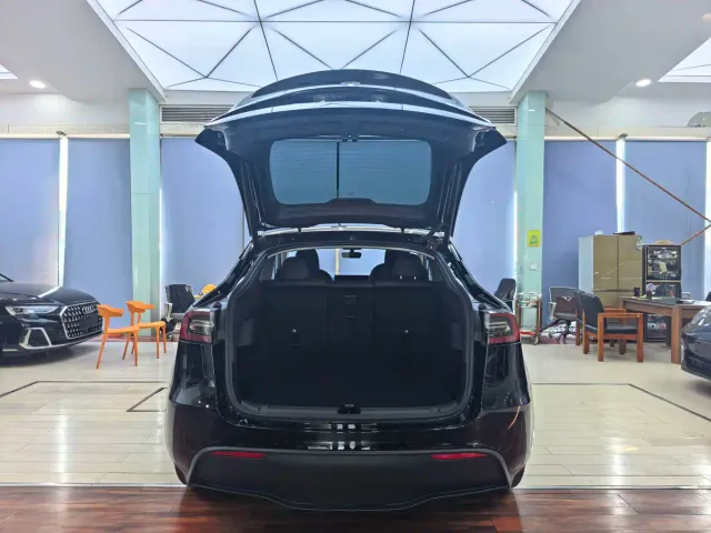 Tesla Model Y — Фото автомобиля 12