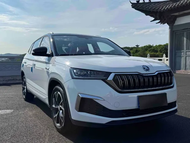 Skoda Kamiq — Фото автомобиля 3