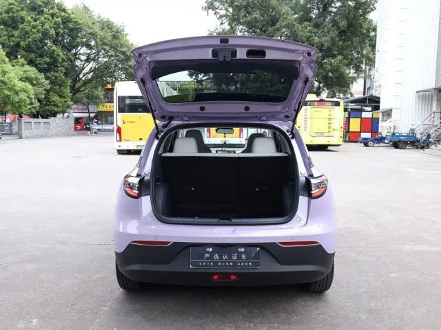 Geely Starry Wish — Фото автомобиля 20