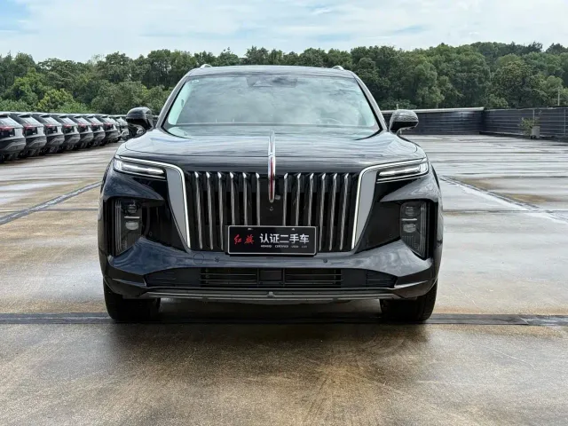 Hongqi E-HS9 — Фото автомобиля 2