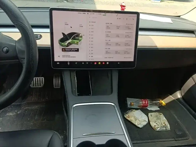 Tesla Model 3 — Фото автомобиля 12
