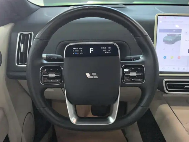 Li Auto L9 — Фото автомобиля 15