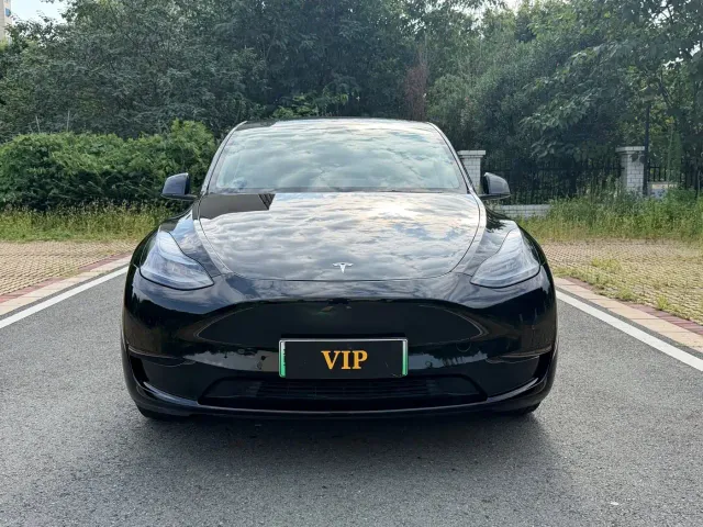 Tesla Model Y — Фото автомобиля 2