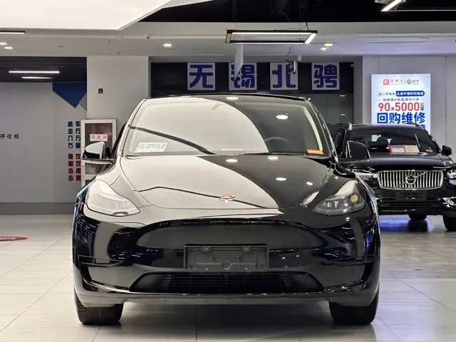 Tesla Model Y — Фото автомобиля 3