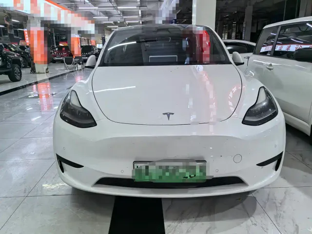 Tesla Model Y — Фото автомобиля 2