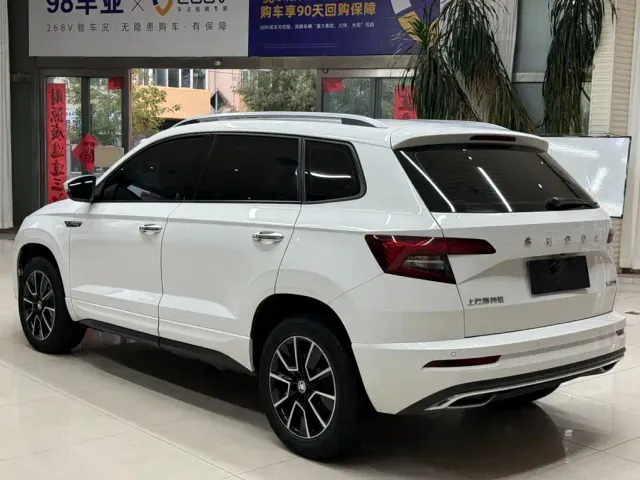 Skoda Karoq — Фото автомобиля 6