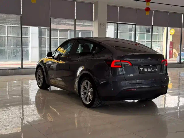 Tesla Model Y — Фото автомобиля 7