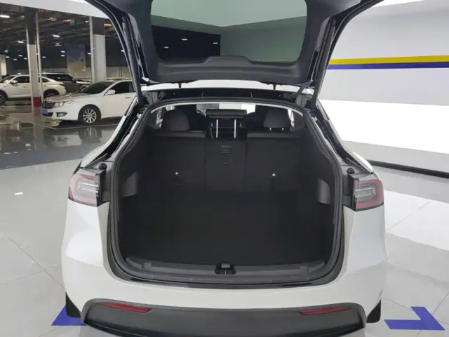 Tesla Model Y — Фото автомобиля 4