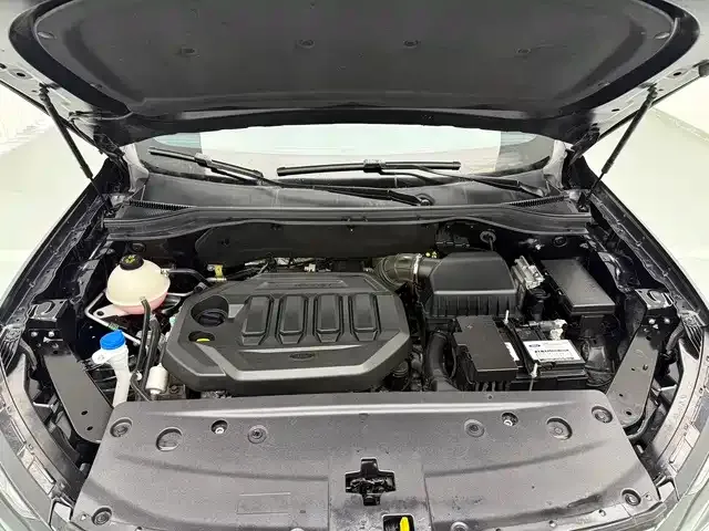 Ford Lingrui — Фото автомобиля 12